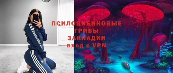 apvp Армянск