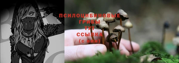 apvp Армянск